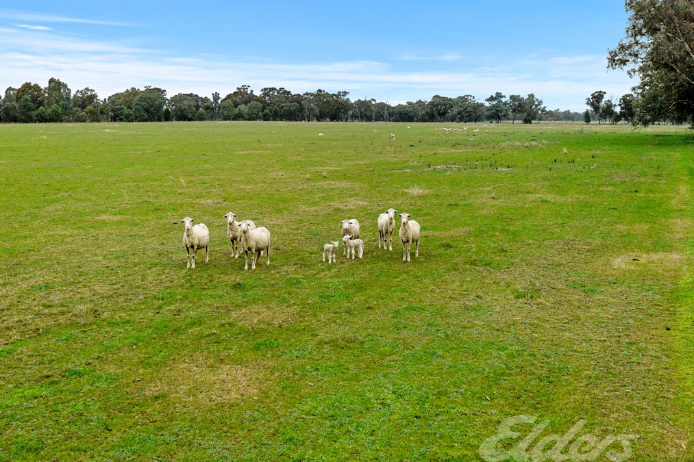 296 Boorhaman East Road, Norong, VIC, 3682 - Image 12