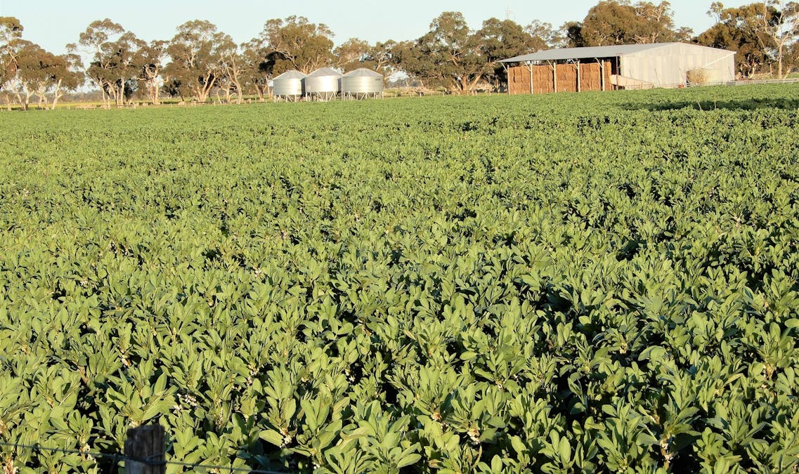101 Black Road, Keith, SA, 5267 - Image 17