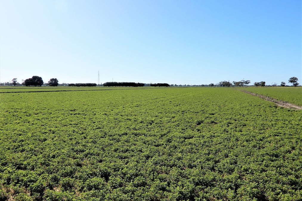 101 Black Road, Keith, SA, 5267 - Image 19