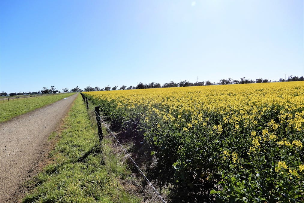 101 Black Road, Keith, SA, 5267 - Image 22