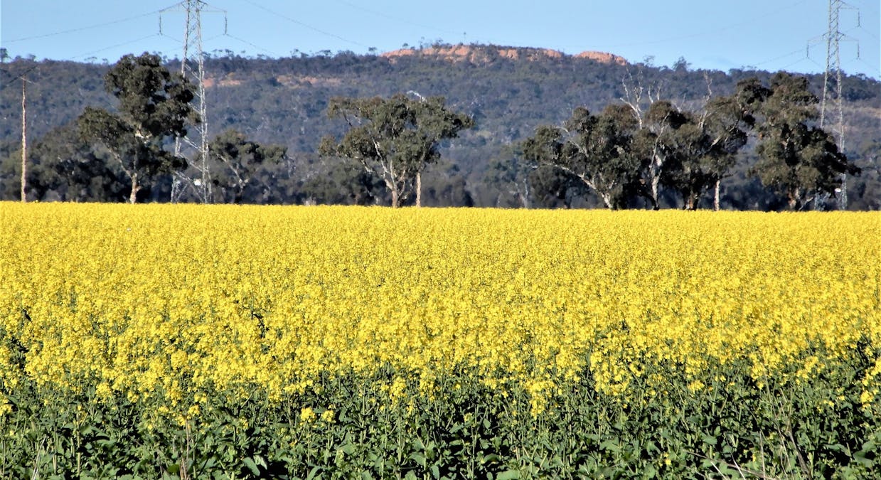 101 Black Road, Keith, SA, 5267 - Image 26