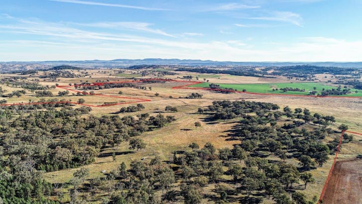 7888 Burrendong Way, Dripstone, NSW, 2820 - Image 1