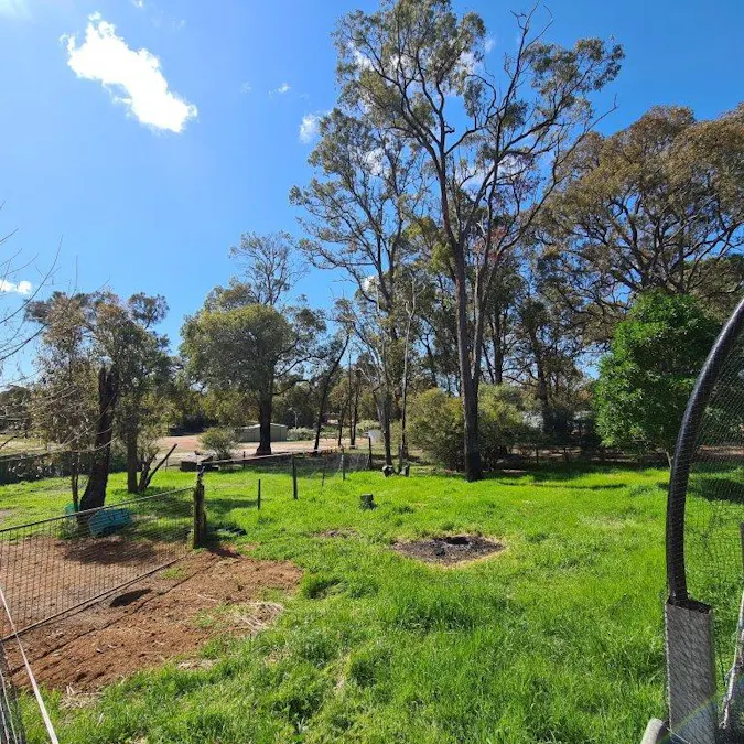 17 Old Toodyay Road, Gidgegannup, WA, 6083 - Image 25