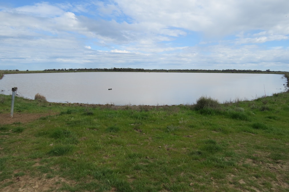 1012 Barham Road, Deniliquin, NSW, 2710 - Image 19