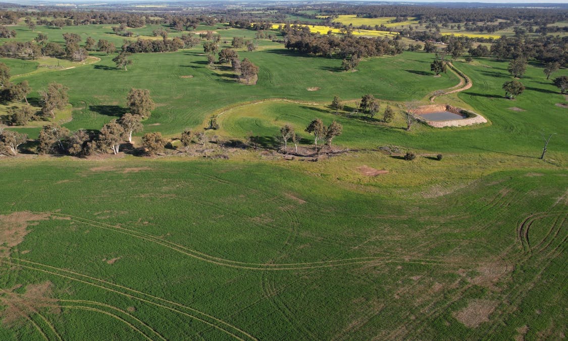 970 Talbot Road , Talbot, WA, 6302 - Image 2