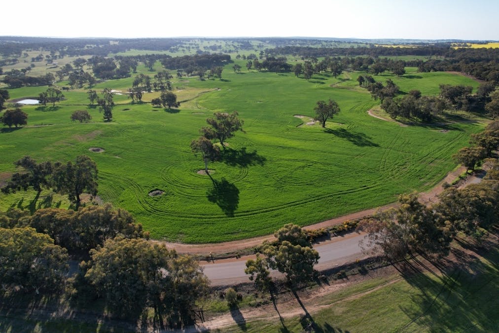 970 Talbot Road , Talbot, WA, 6302 - Image 5