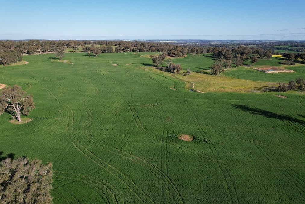 970 Talbot Road , Talbot, WA, 6302 - Image 4