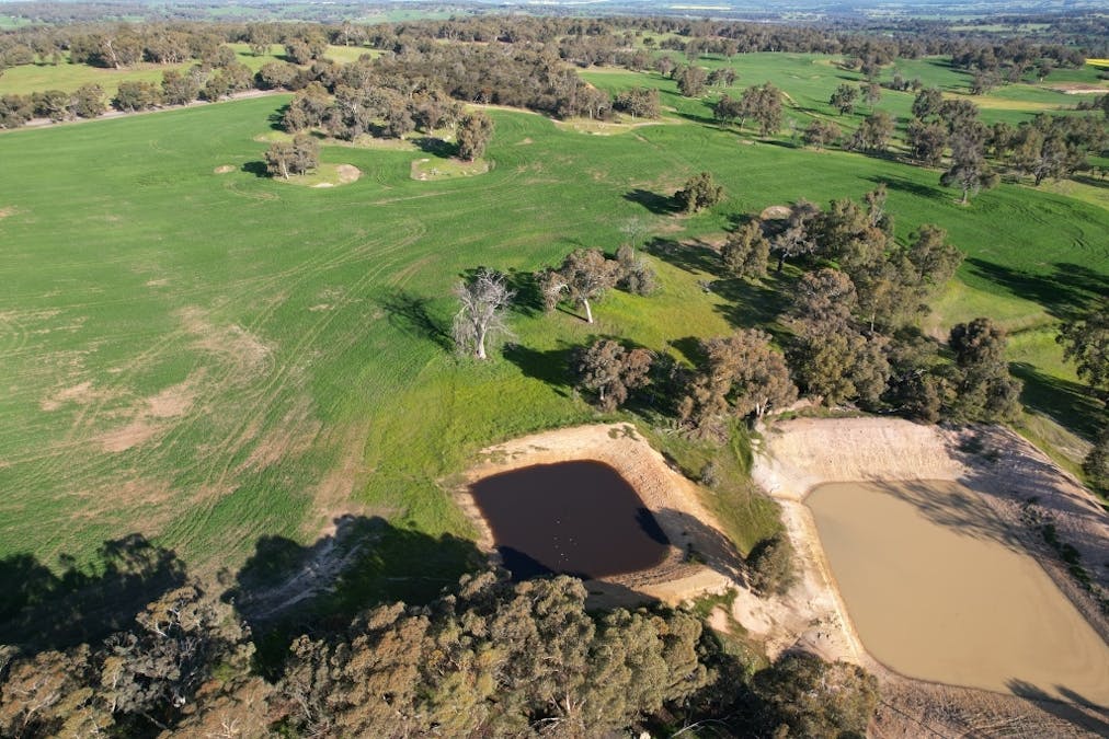 970 Talbot Road , Talbot, WA, 6302 - Image 10