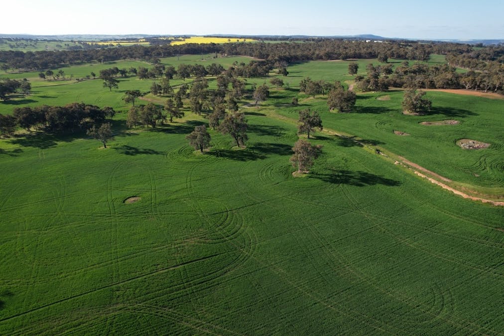 970 Talbot Road , Talbot, WA, 6302 - Image 7
