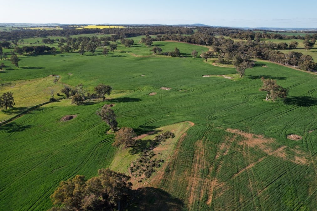 970 Talbot Road , Talbot, WA, 6302 - Image 8