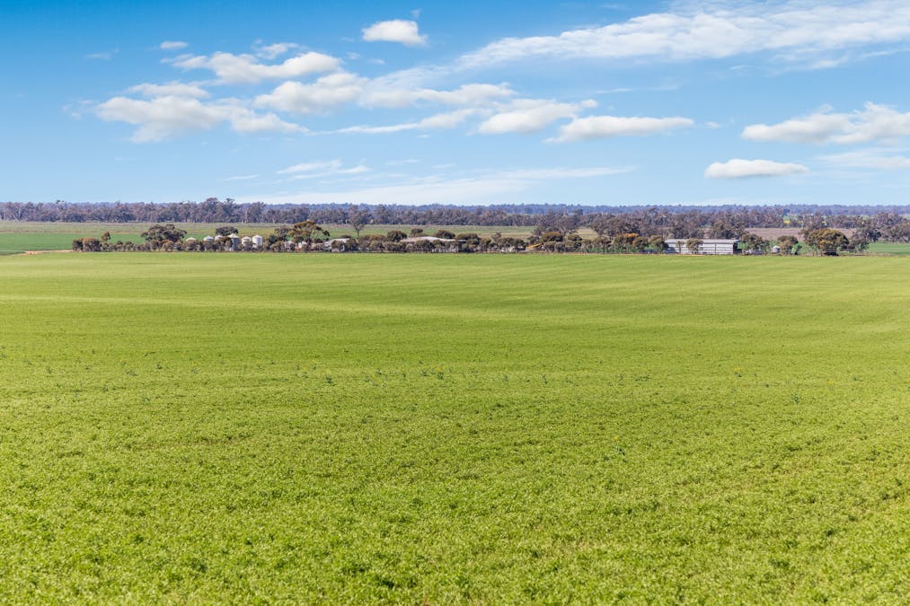 1480 Swan Hill Road, Murray Downs, NSW, 2734 - Image 1