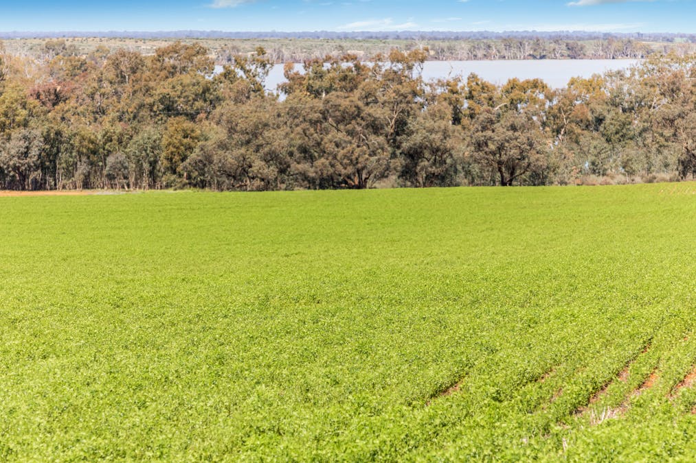 1480 Swan Hill Road, Murray Downs, NSW, 2734 - Image 25