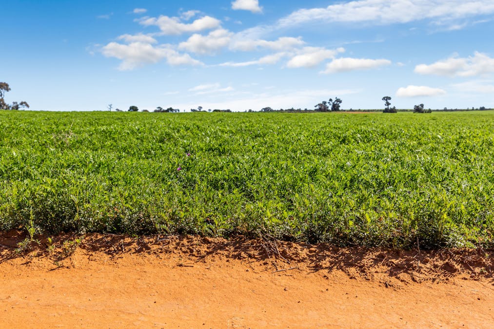 1480 Swan Hill Road, Murray Downs, NSW, 2734 - Image 26