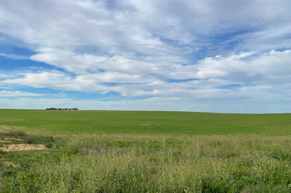 Sec 56 Barr Road, Karoonda, SA, 5307 - Image 8