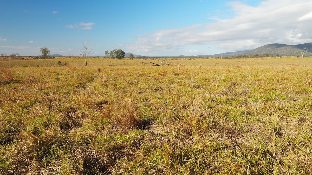 Bruce Highway, Gindoran, QLD, 4676 - Image 5