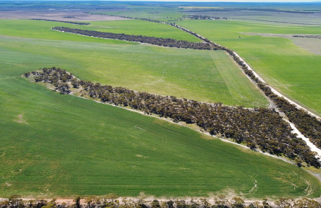 Mellor Road, Lock, SA, 5633 - Image 4
