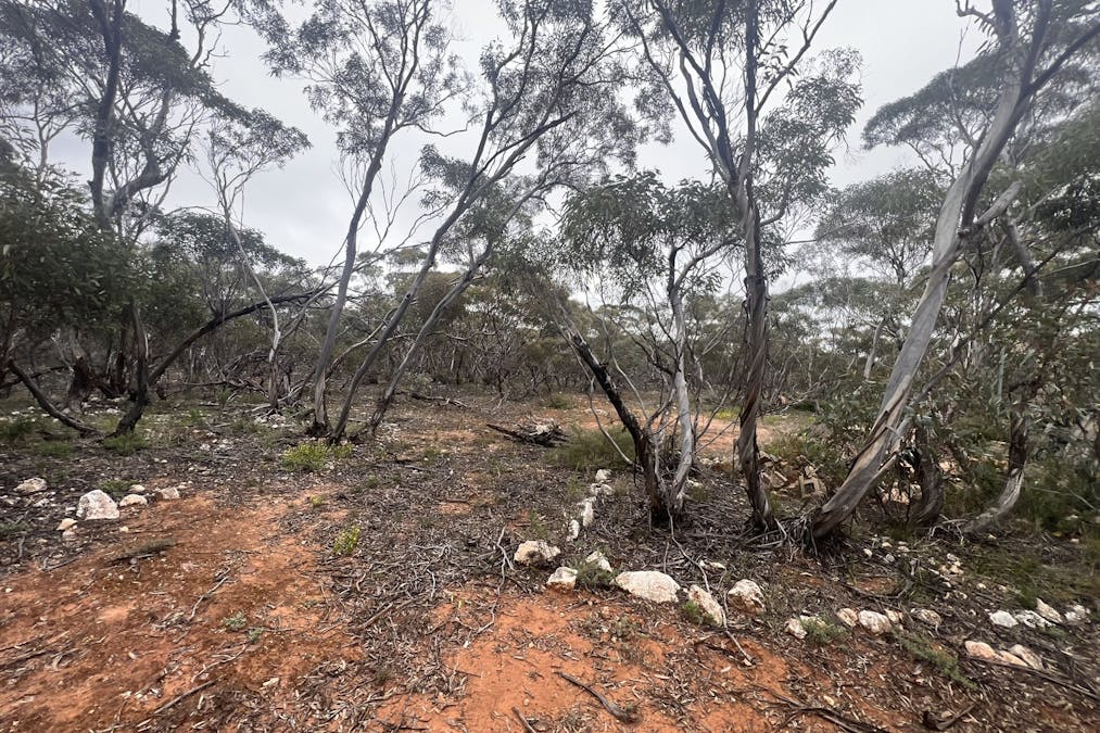 Lot 7 Hundred Line Road, Bowhill, SA, 5238 - Image 8