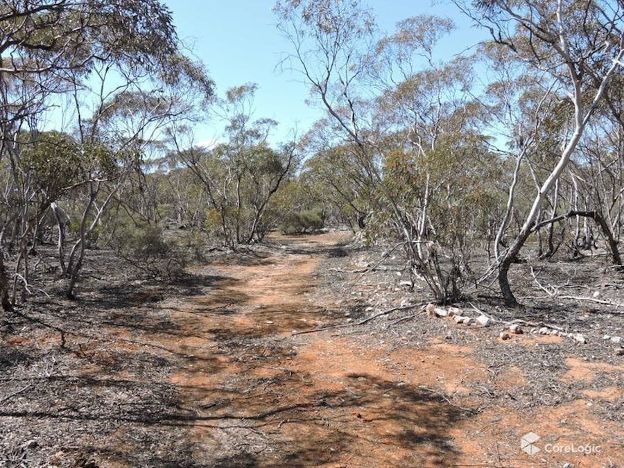 Lot 7 Hundred Line Road, Bowhill, SA, 5238 - Image 6