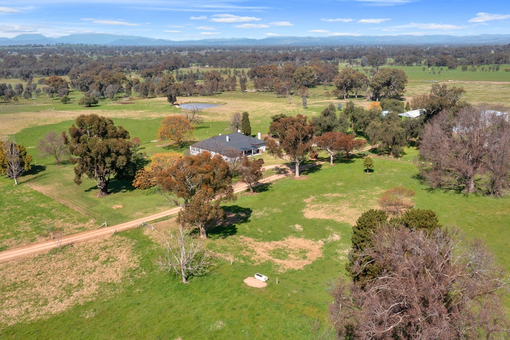 79 Dundas Road, Glenrowan, VIC, 3675 - Image 3