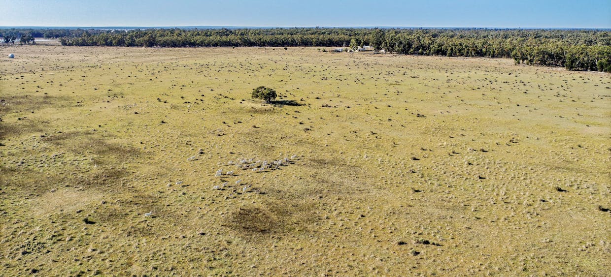 936R West Mialla Road, Balladoran, NSW, 2831 - Image 8