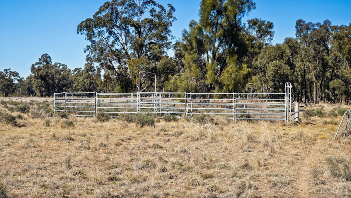 936R West Mialla Road, Balladoran, NSW, 2831 - Image 21
