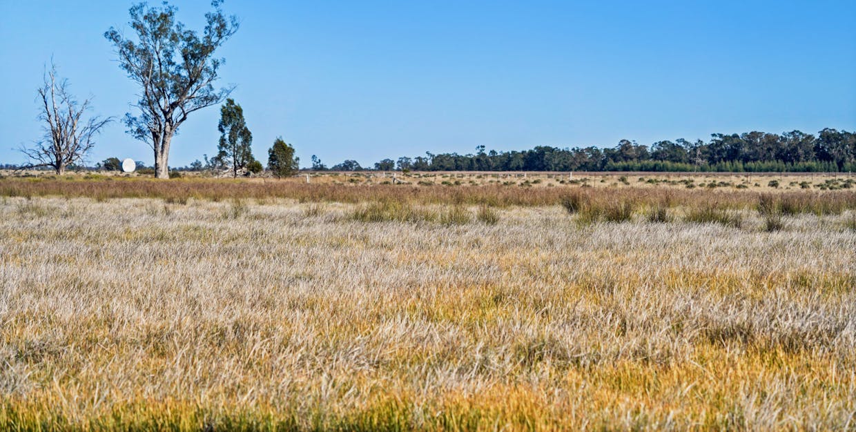 936R West Mialla Road, Balladoran, NSW, 2831 - Image 9