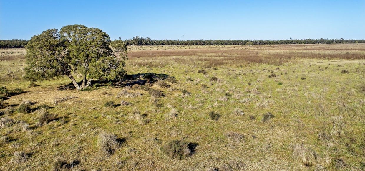 936R West Mialla Road, Balladoran, NSW, 2831 - Image 11