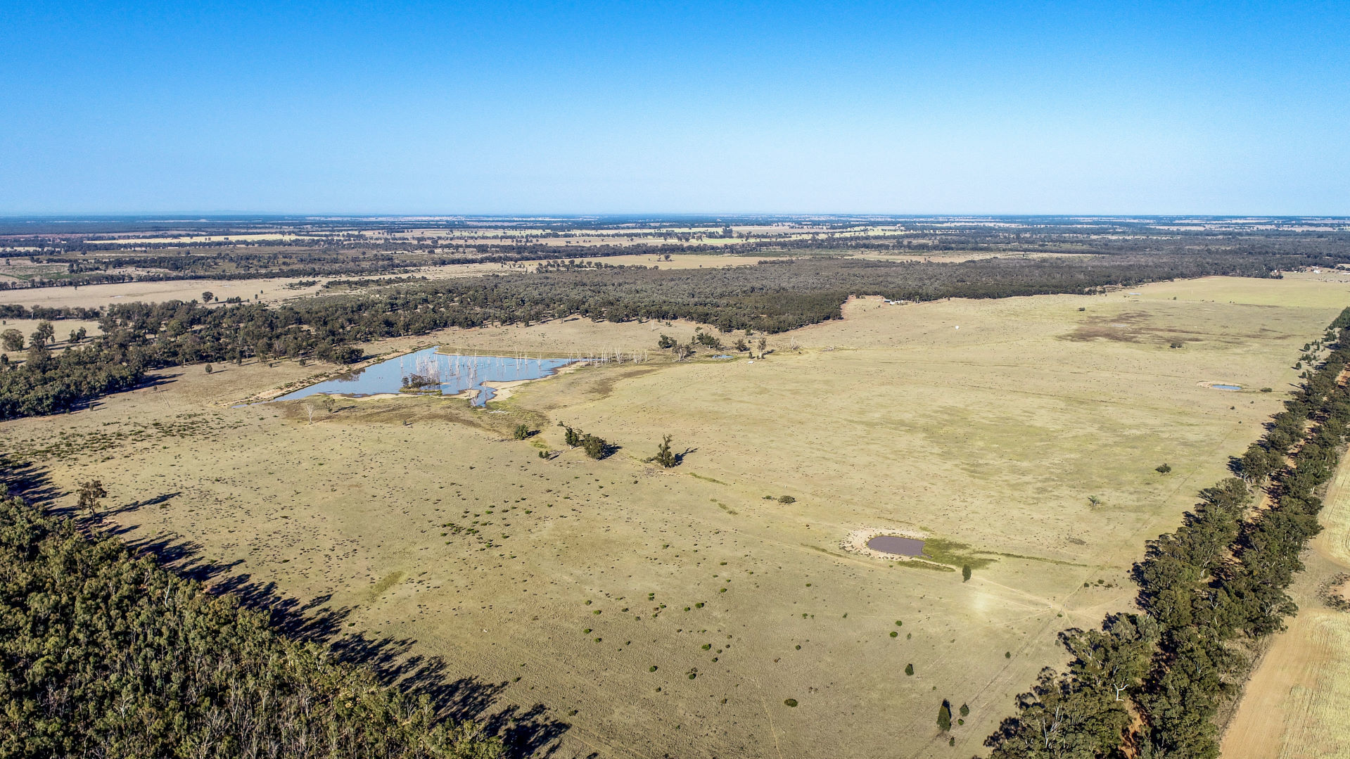 936R West Mialla Road, Balladoran, NSW, 2831 – Sold | Elders Real Estate