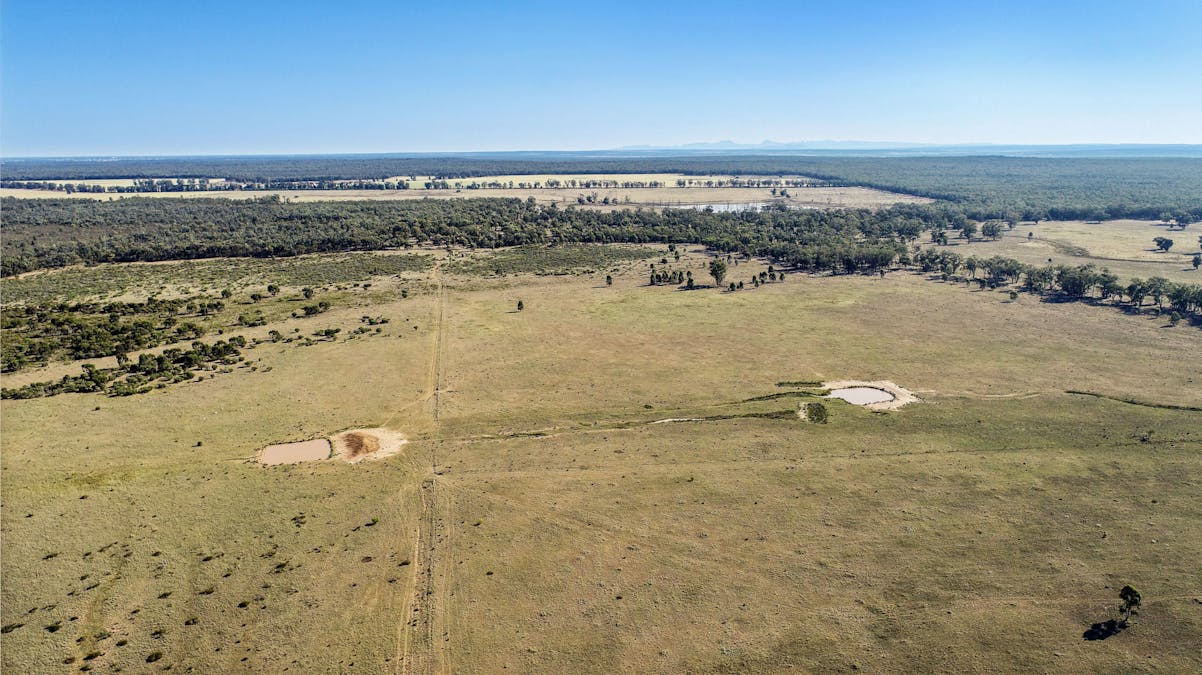 936R West Mialla Road, Balladoran, NSW, 2831 - Image 16