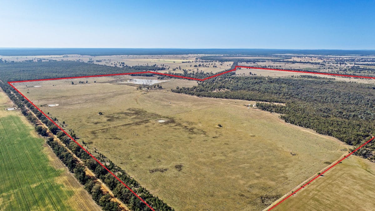 936R West Mialla Road, Balladoran, NSW, 2831 - Image 2