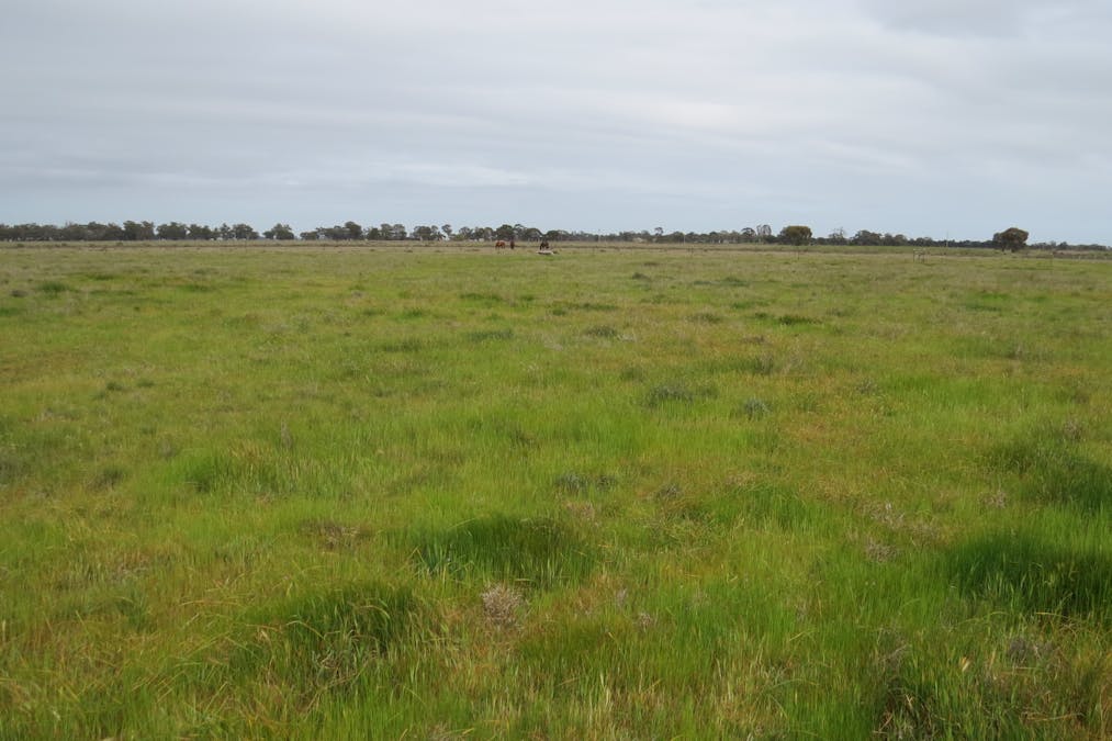 102 Four Post Road, Deniliquin, NSW, 2710 - Image 8