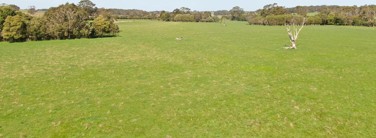 147 Outtrim-Inverloch Road, Outtrim, VIC, 3951 - Image 10
