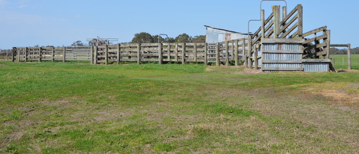 147 Outtrim-Inverloch Road, Outtrim, VIC, 3951 - Image 15
