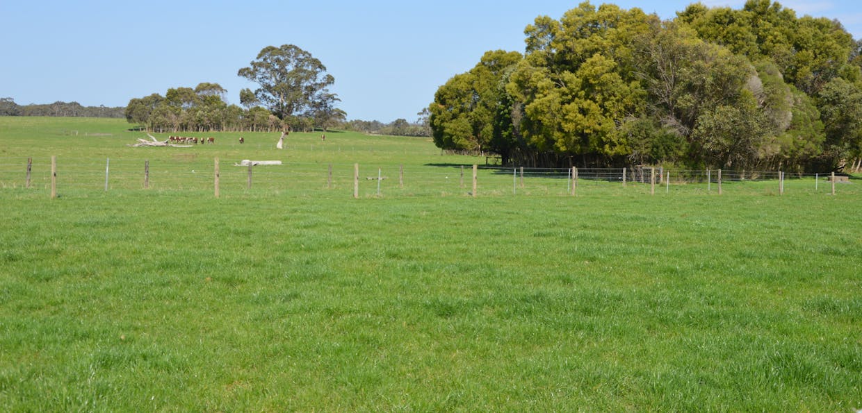 147 Outtrim-Inverloch Road, Outtrim, VIC, 3951 - Image 16