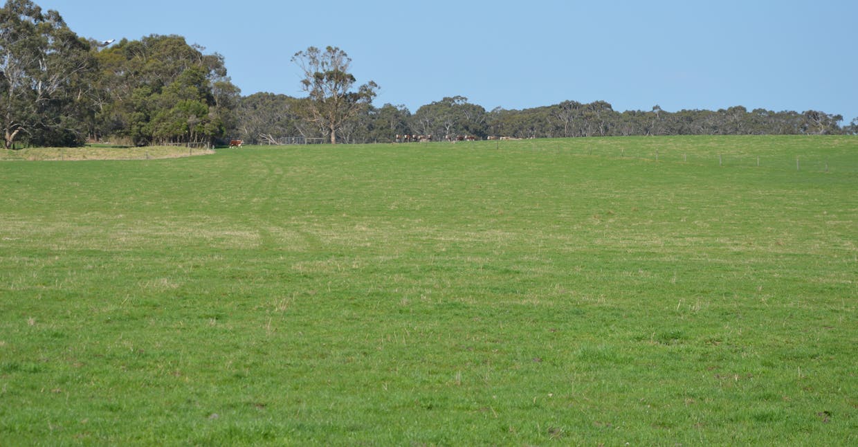 147 Outtrim-Inverloch Road, Outtrim, VIC, 3951 - Image 17