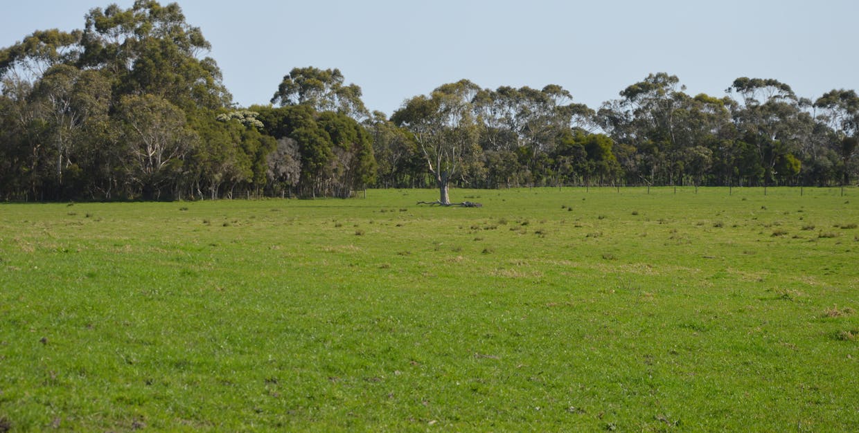 147 Outtrim-Inverloch Road, Outtrim, VIC, 3951 - Image 19