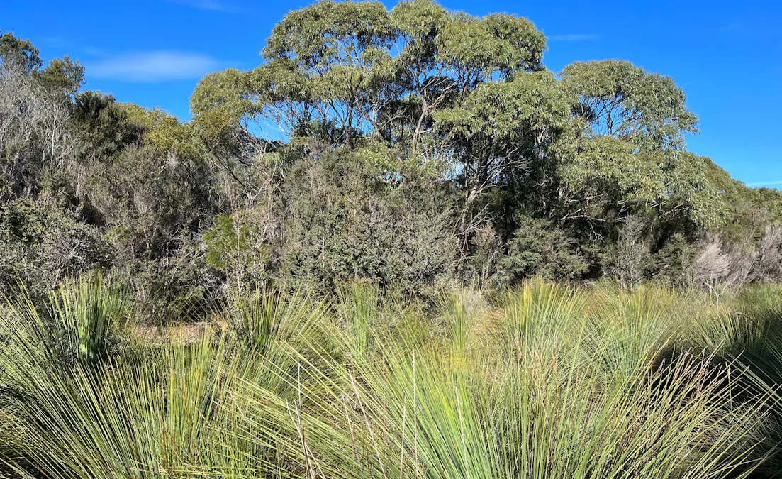 3/North East River Road, Palana, TAS, 7255 - Image 7