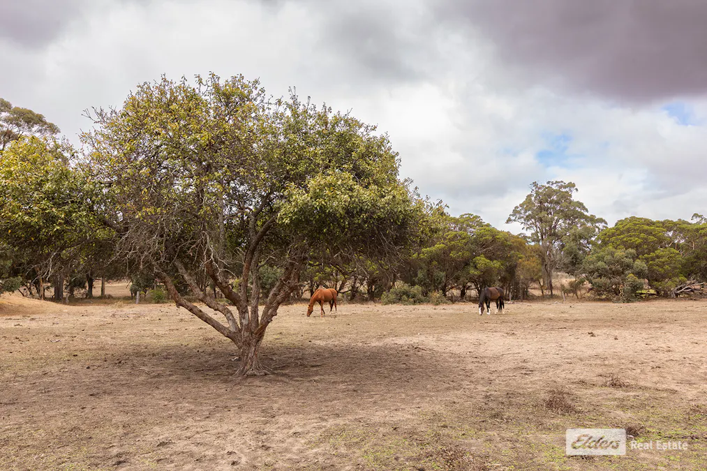 Lot 36 Allenby Road, Kendenup, WA, 6323 - Image 4