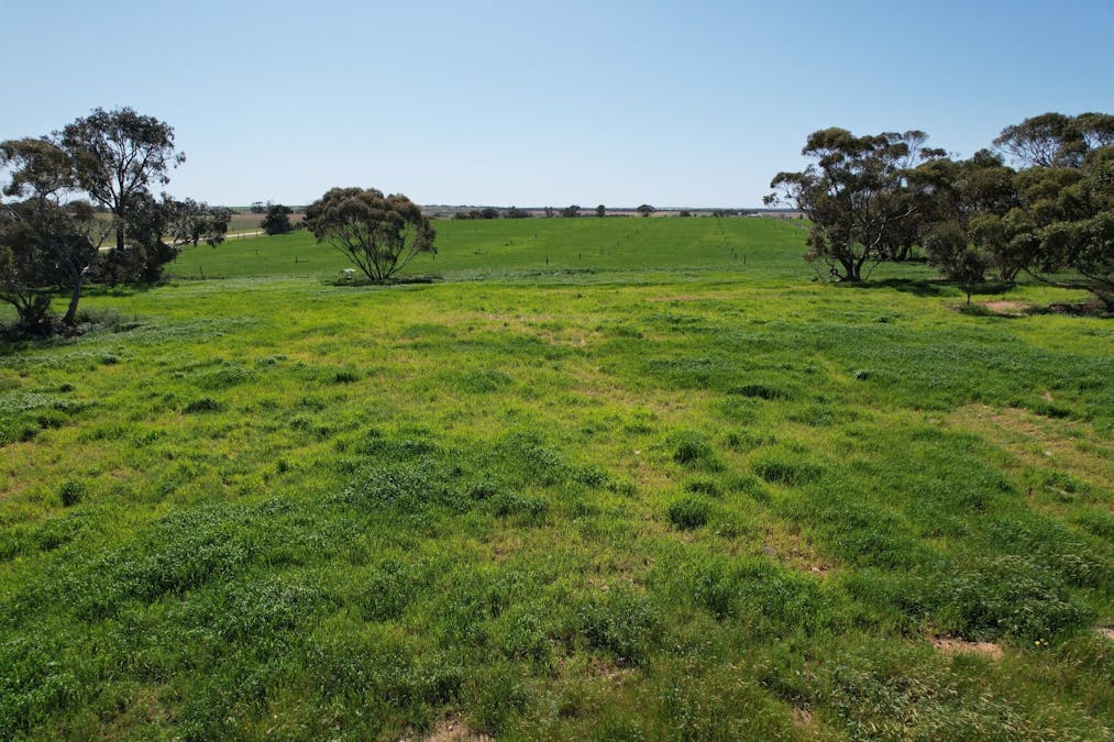 77 Longs Road, Woods Point, SA, 5253 - Image 9