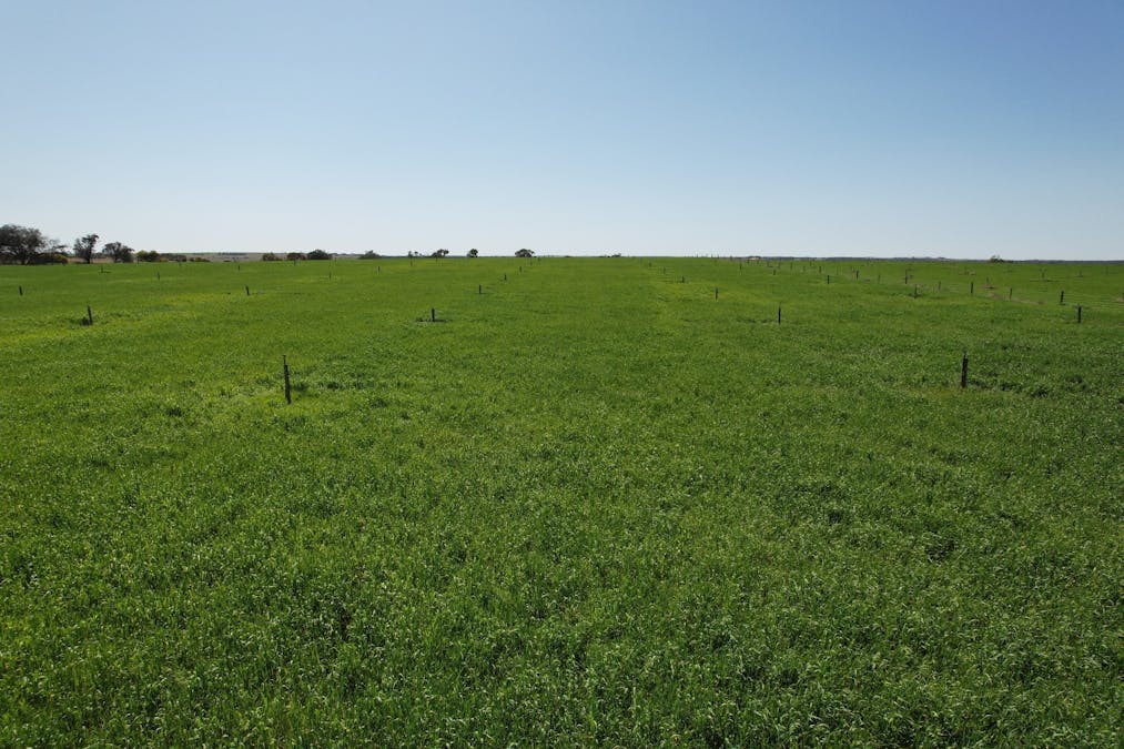 77 Longs Road, Woods Point, SA, 5253 - Image 10