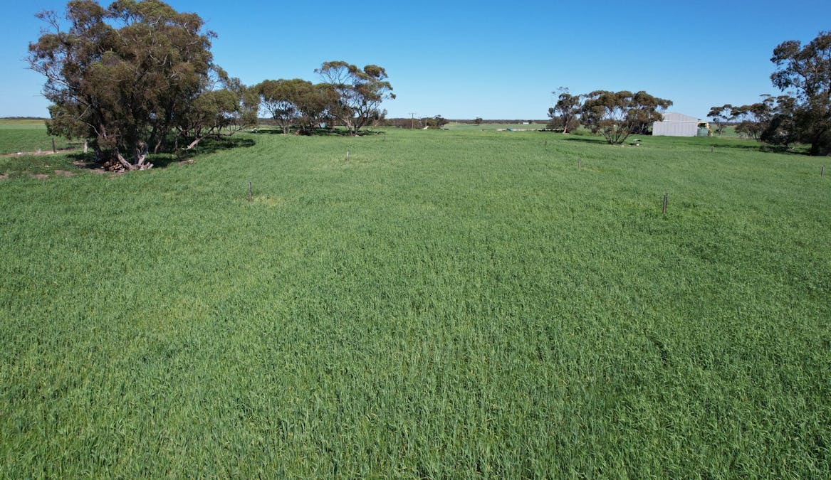 77 Longs Road, Woods Point, SA, 5253 - Image 12