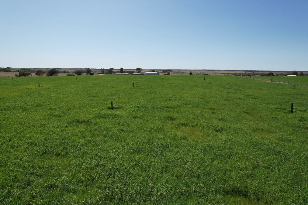 77 Longs Road, Woods Point, SA, 5253 - Image 14