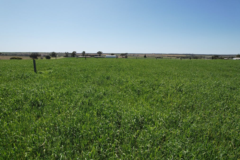 77 Longs Road, Woods Point, SA, 5253 - Image 15