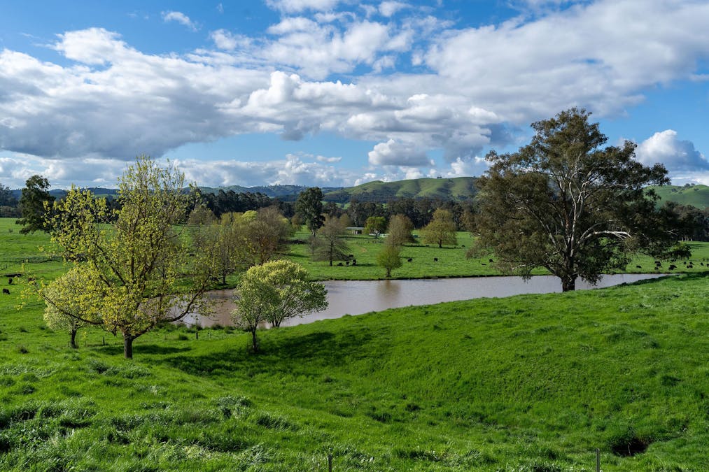 411 Acheron Road, Acheron, VIC, 3714 - Image 4