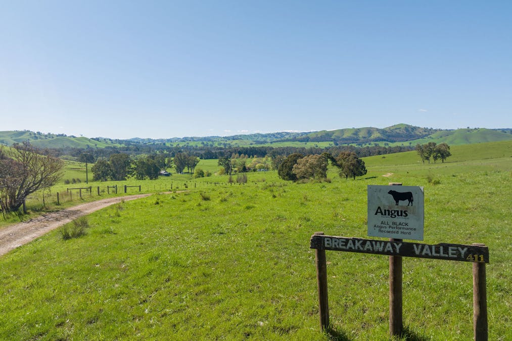 411 Acheron Road, Acheron, VIC, 3714 - Image 21
