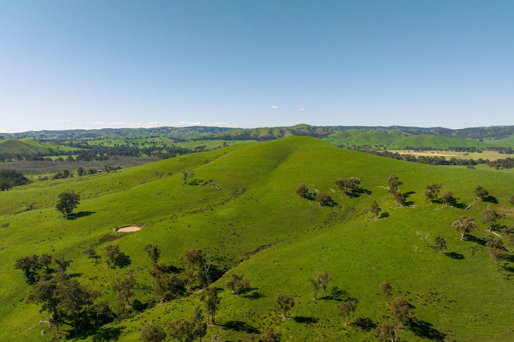 411 Acheron Road, Acheron, VIC, 3714 - Image 22