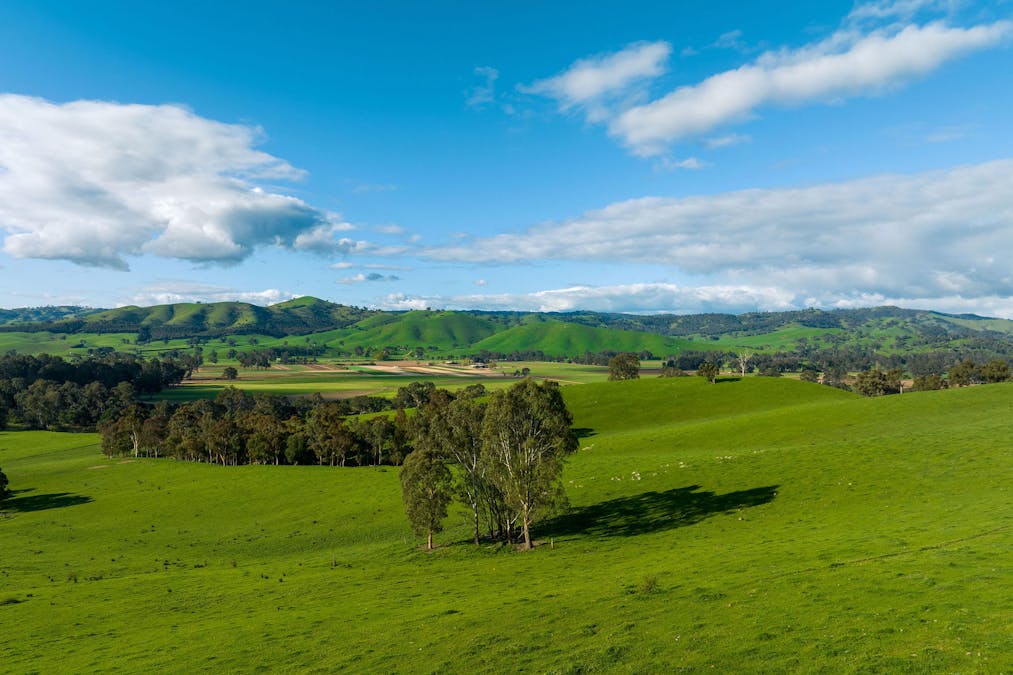 411 Acheron Road, Acheron, VIC, 3714 - Image 26