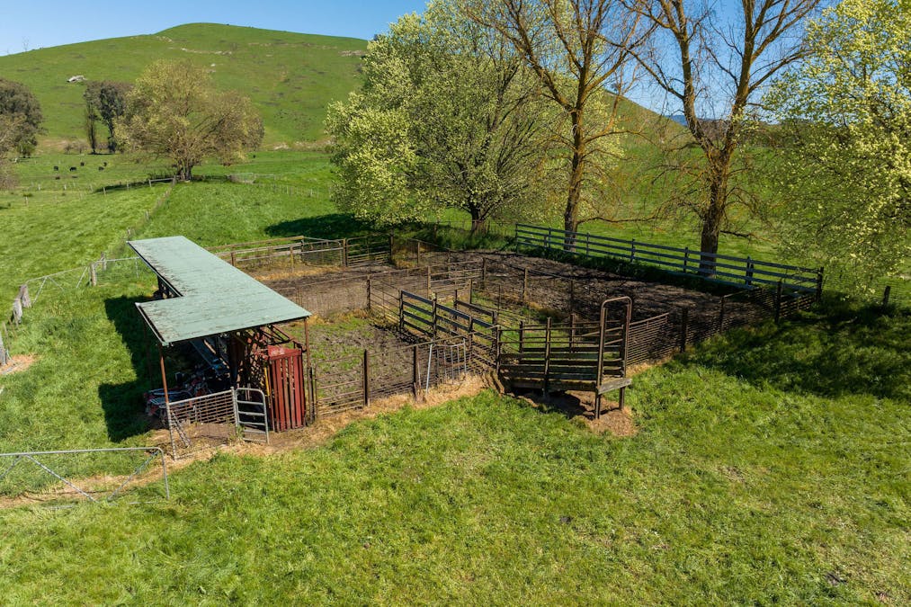 411 Acheron Road, Acheron, VIC, 3714 - Image 15