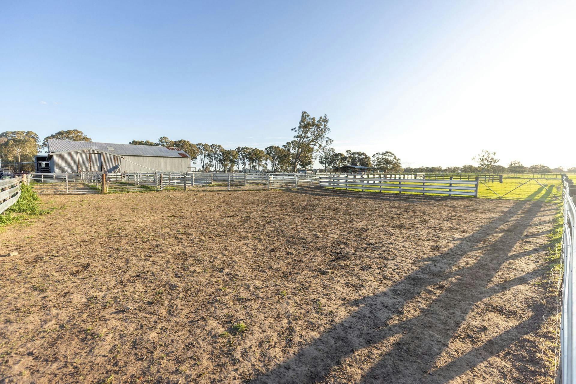 1204 Jessie Road, Naracoorte, SA, 5271 For Sale Elders Real Estate