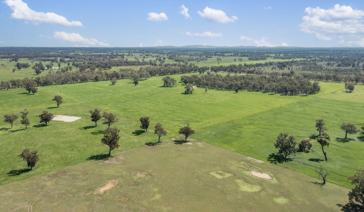 Crn of Basin & Carroll Road, Tarnook, VIC, 3670 - Image 3